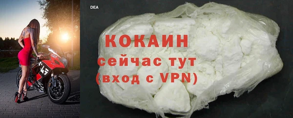 твердый Арсеньев