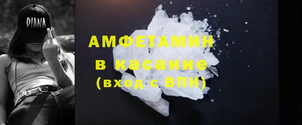 твердый Арсеньев