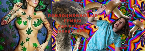 хмурый Армянск