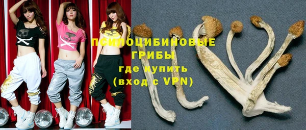 хмурый Армянск