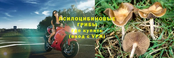 твердый Арсеньев