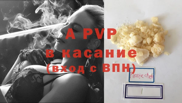 твердый Арсеньев